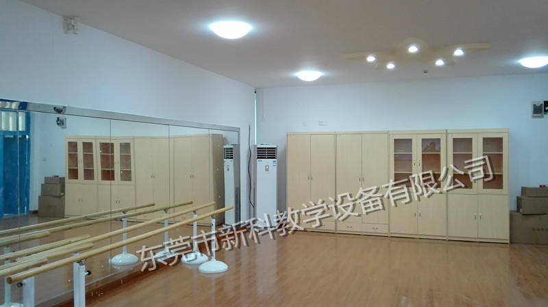 <a href='http://m.wlsfjx.cn/chanpin/59-1.html' target='1' style='font-size:18px; font-weight:bold; color:#000000;'>舞蹈室</a>
